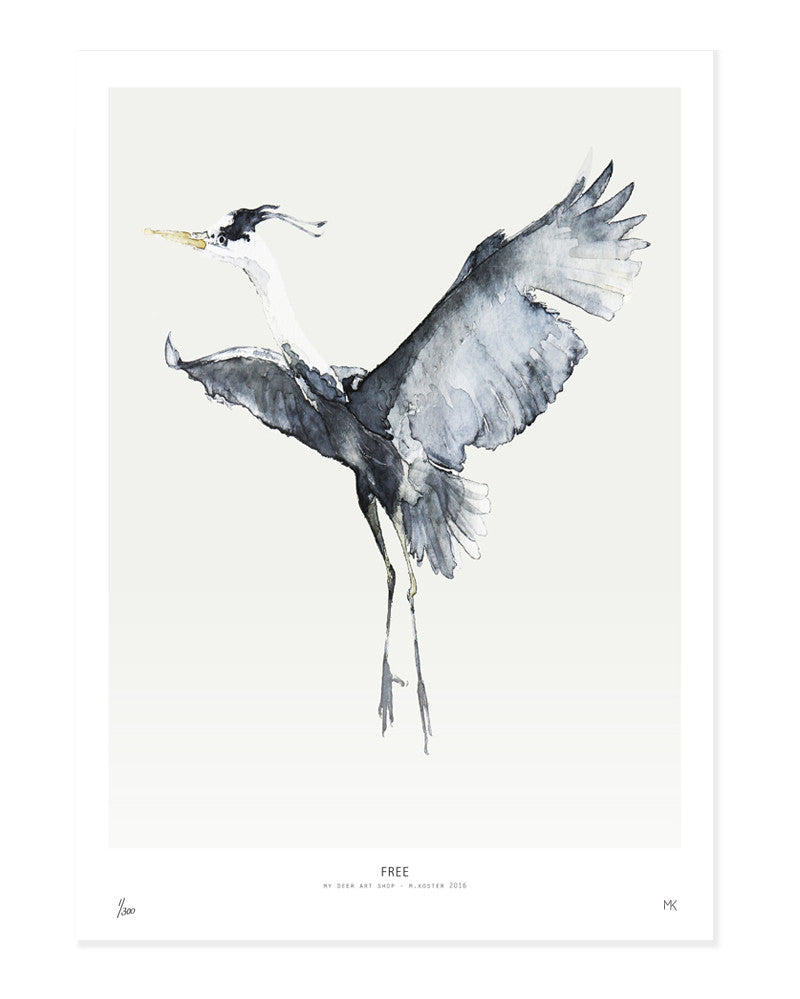 Birds  /  Free