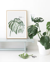 Botanic Urban //  Plate 3