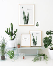 Botanic Urban //  Plate 2