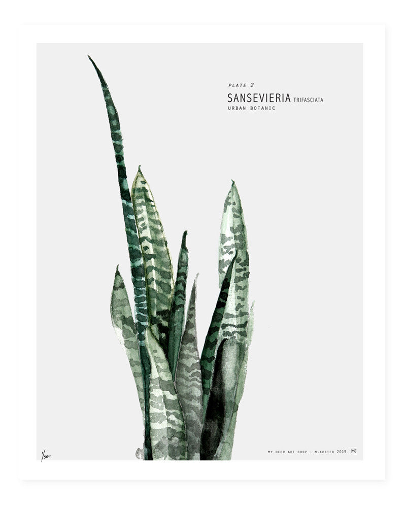 Botanic Urban //  Plate 2