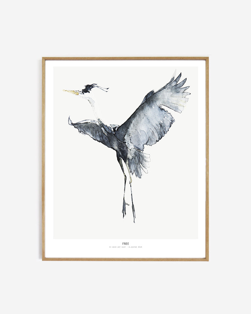Birds  /  Free