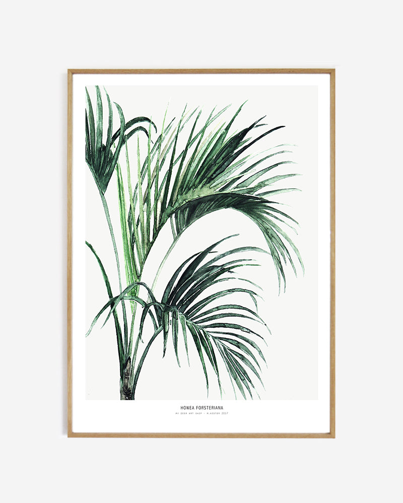 Photopaper Art print 60 x 80 cm - Howea