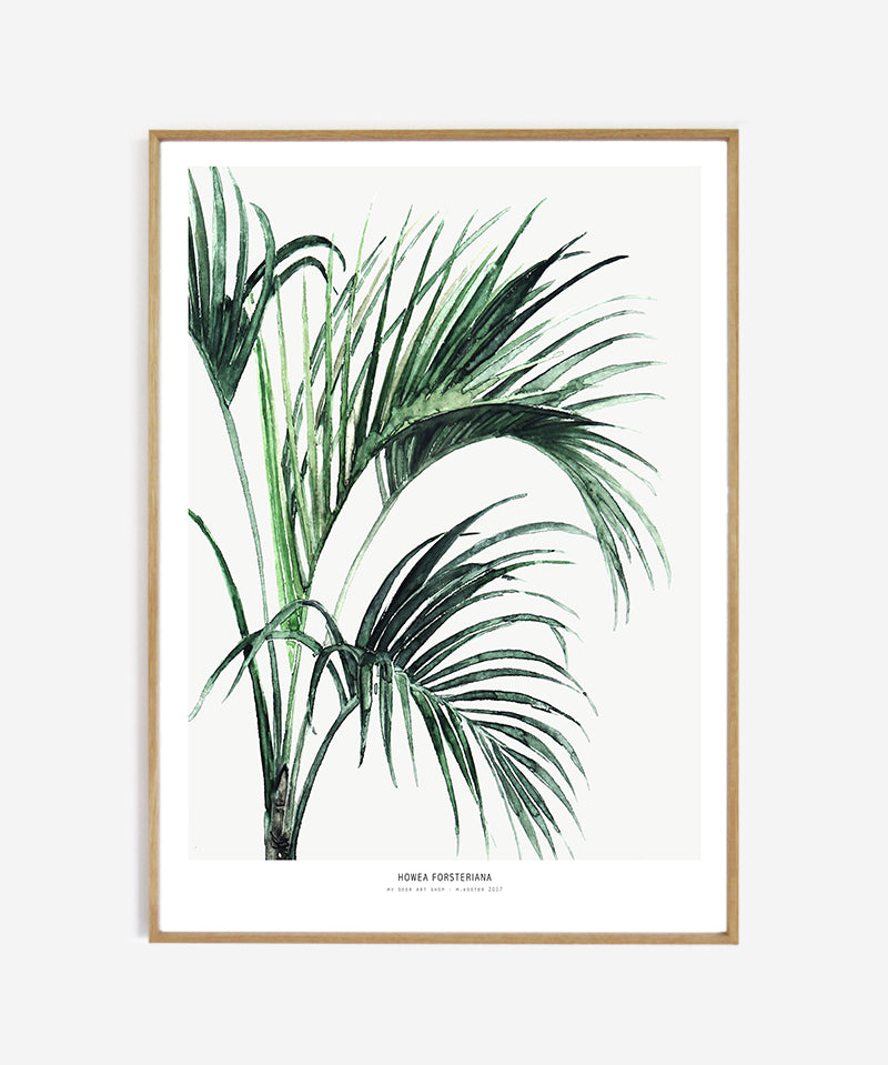 web_Framed_howea_50x70_f4e515ba-df68-4cfd-87ef-cc87cc0d87dc.jpg