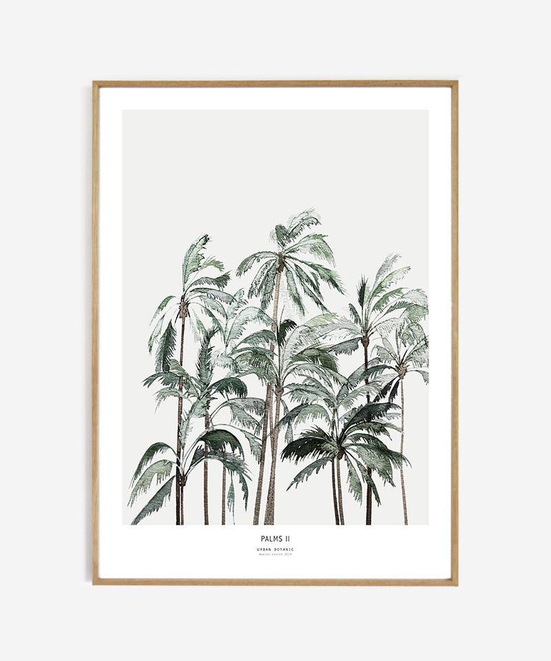 web_Framed_palms_50x70_8024e0b9-d443-4897-94e9-3f93d4be073f.jpg