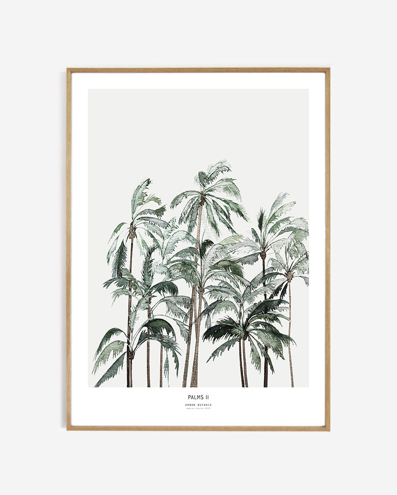 art print - Palms II