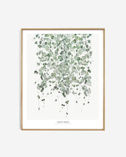 Botanics /  Chain of hearts