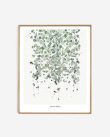 Botanics /  Chain of hearts