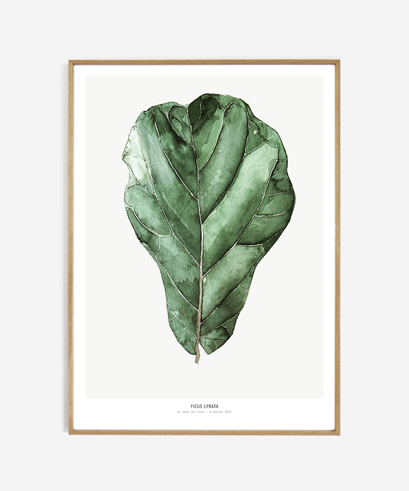 web_framed_ficus_50x70_d4862009-ebce-48cd-b7d5-c3e33d12ea7c.jpg