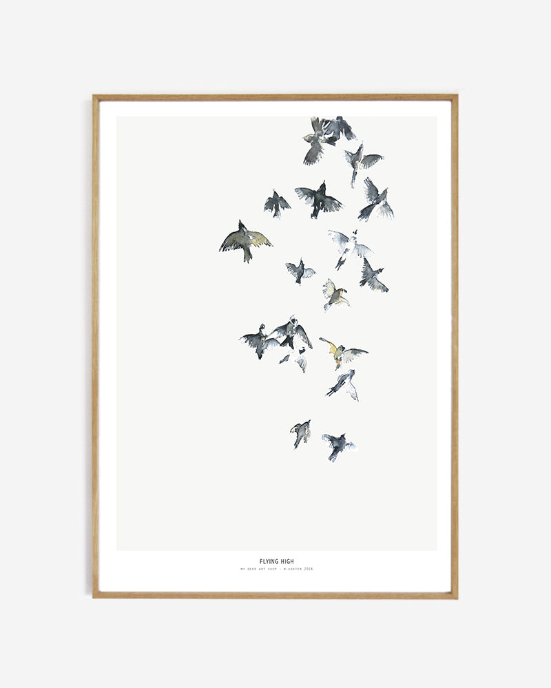Birds  /  Flying high