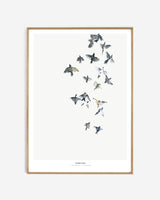 Birds  /  Flying high