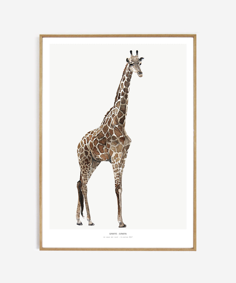web_framed_giraffe50x70_ae38451a-2b36-4108-b5f1-63616df55ce3.jpg