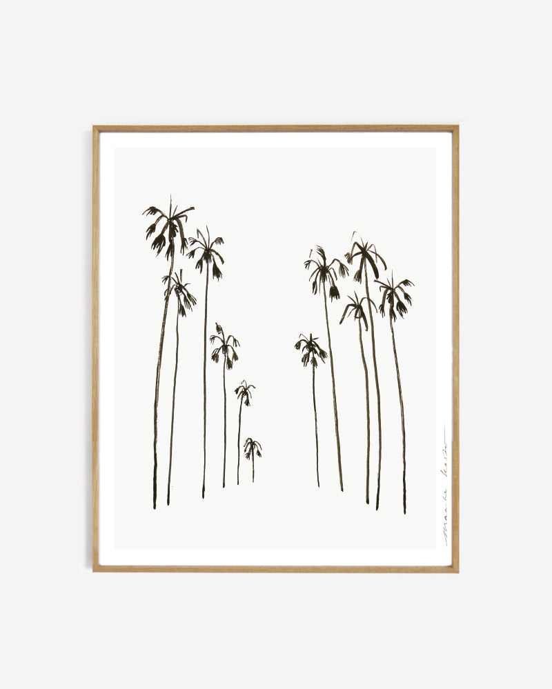 Art print - Palms