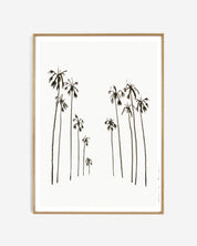 Art print - Palms