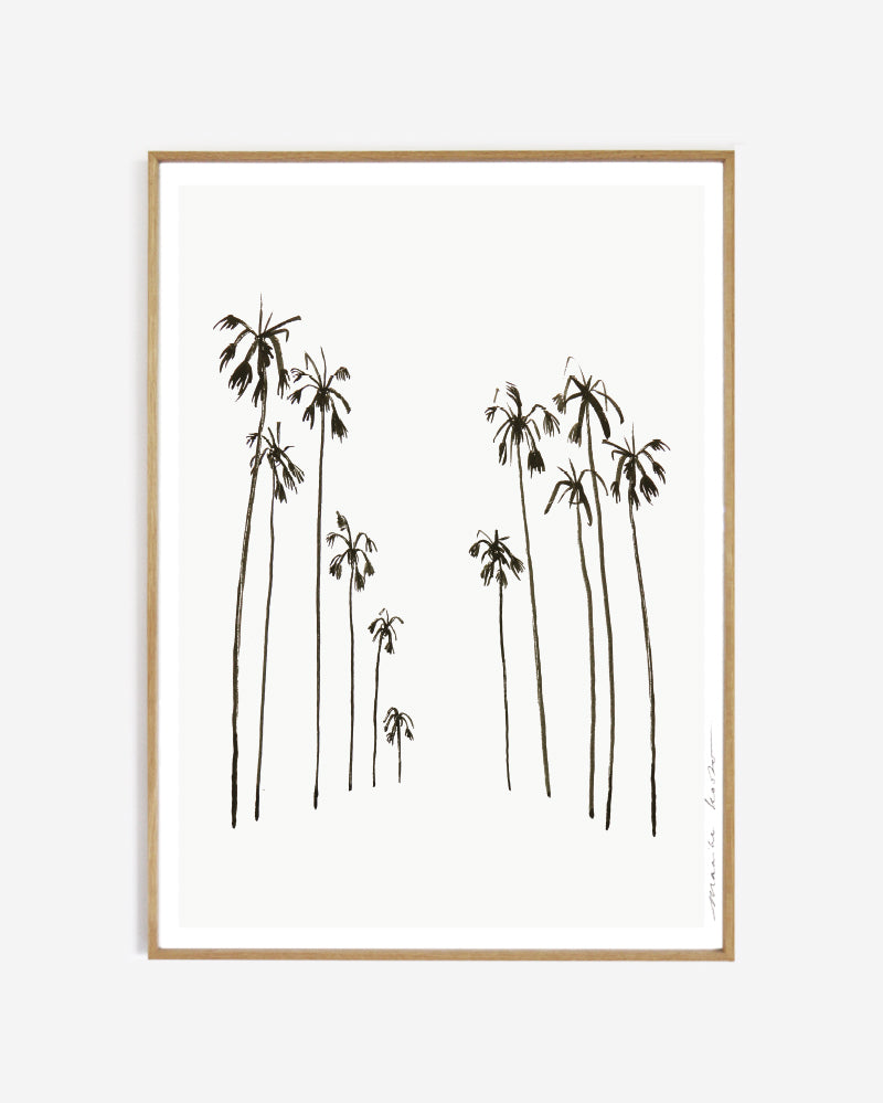 Art print - Palms