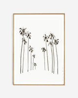 Art print - Palms