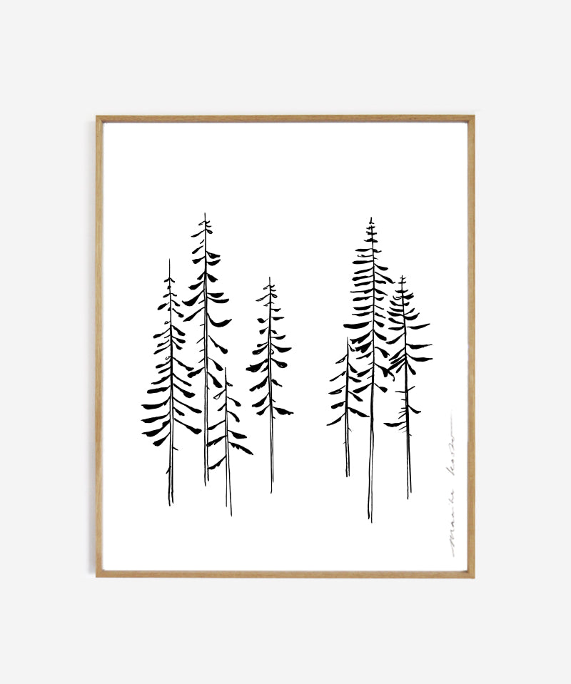 web_framed_pines.jpg
