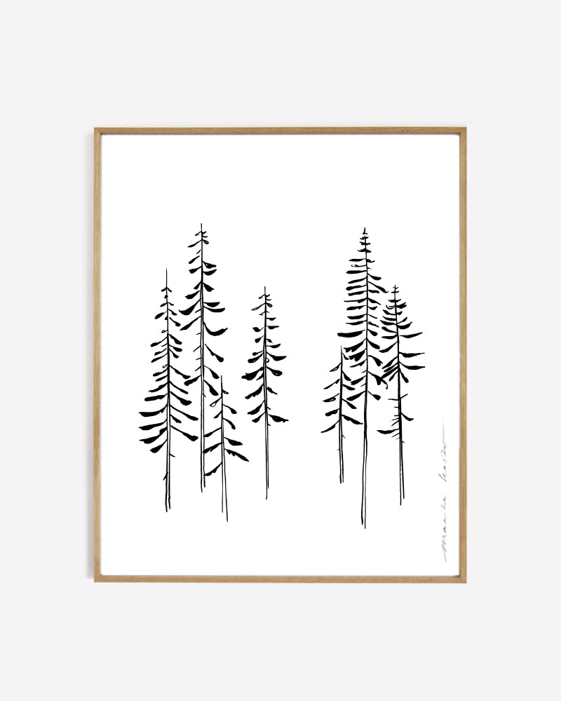 Line art // 'Pines'