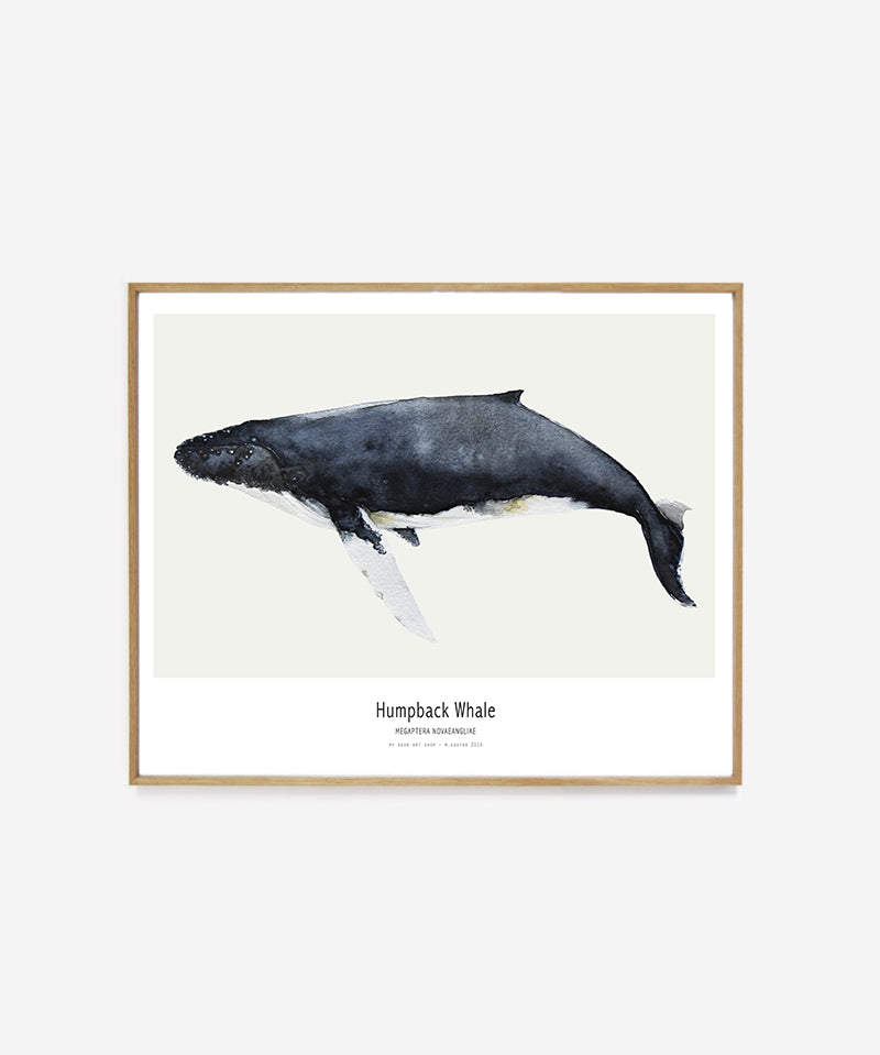 web_framed_whale40x50.jpg