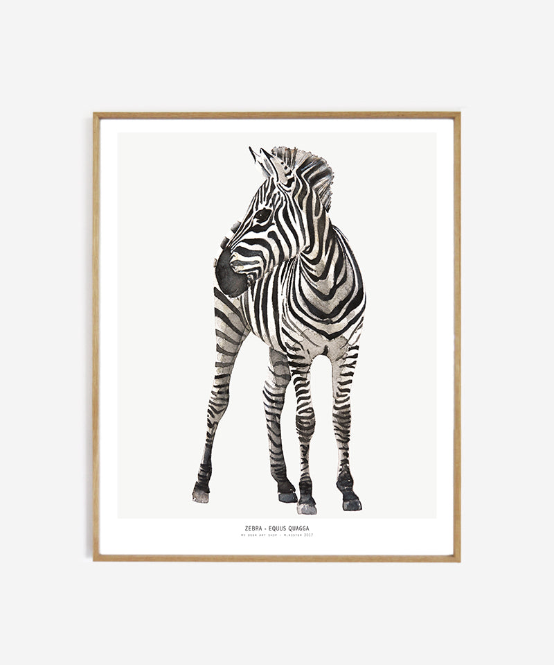 web_framed_zebra40x50_74b6b7f8-bc0a-4938-a97b-be6b9566773d.jpg