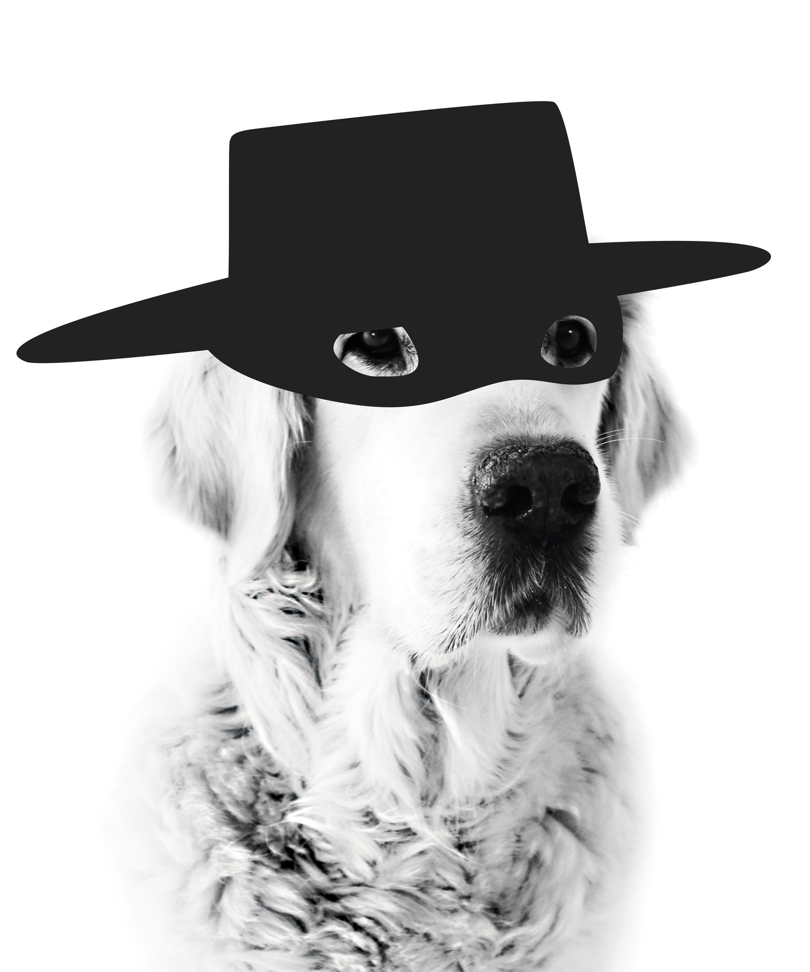 zorrodog_40x50.jpg